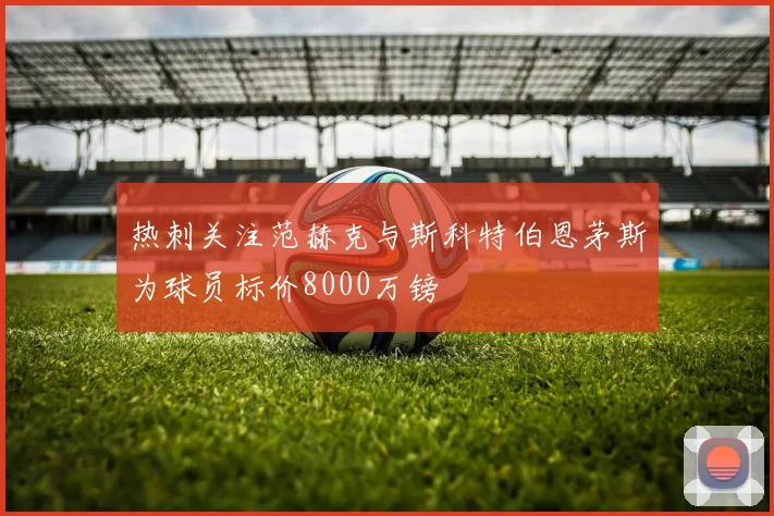 热刺关注范赫克与斯科特伯恩茅斯为球员标价8000万镑